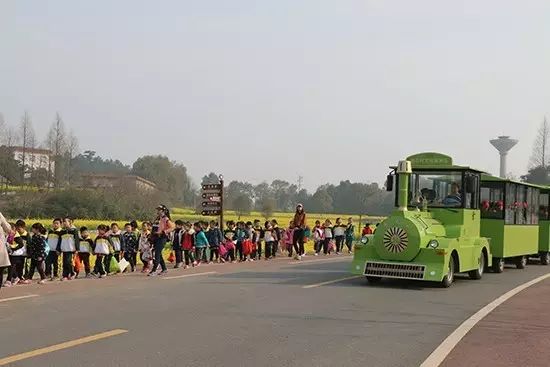 旅游景區觀光小火車-無軌觀光小火車