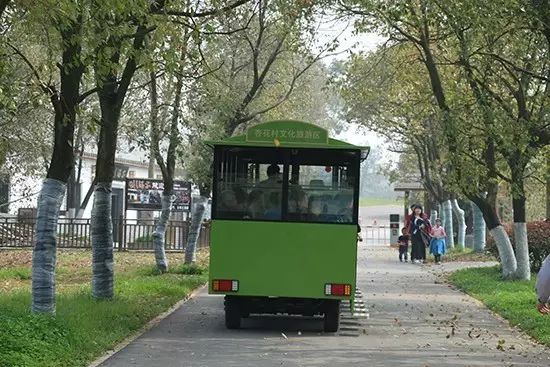 景區觀光小火車-旅游景區無軌觀光小火車